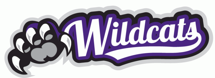 Weber State Wildcats 2012-Pres Misc Logo diy fabric transfer